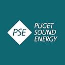 PSE logo
