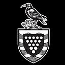 Cornwall Council logo