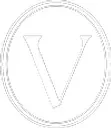 Veritas Search Group logo
