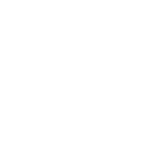 Mergent Group logo
