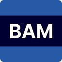 BAM Technologies logo