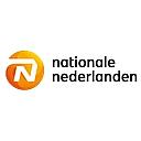 NN Group logo