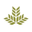 Northeast Georgia Medical Center logo