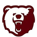 Willow Springs R-IV School District logo