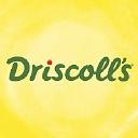 Driscoll’s logo