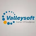 Valleysoft logo