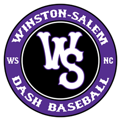 Winston-Salem Dash logo